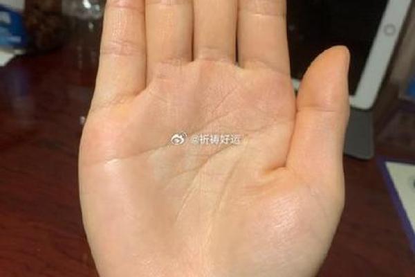 手相智慧纹：解锁成功与幸福的秘密密码