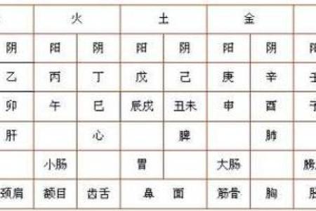 开字五行属什么？解析其五行属性与命理影响