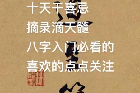 纯阳八字的命理解析与人生运势的深度探索