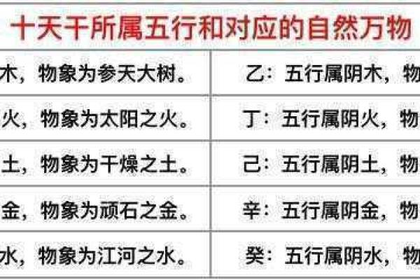 维字五行属性解析及其命理影响