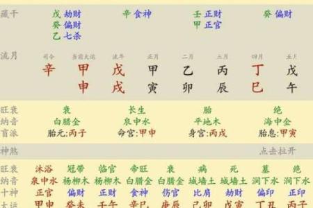 维字五行属性解析及其命理影响