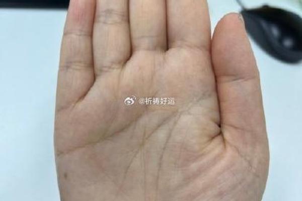 向华强八字揭秘：揭示命运与事业的深层联系