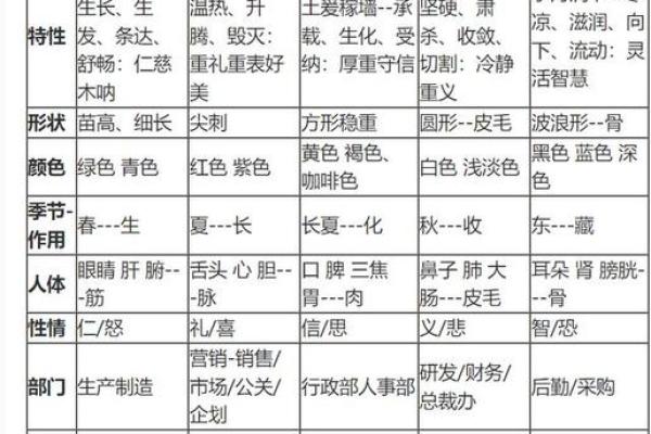 五行属性的基本概念及其在生活中的应用解析