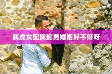 属虎女和属龙男：婚姻匹配度如何？