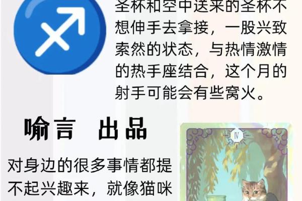 射手座今日运势预测：情感与事业双重收获