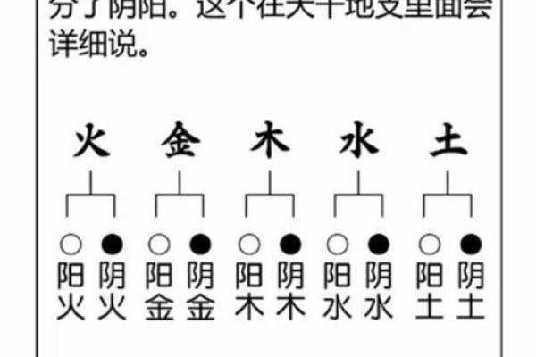 天干合的人：命中注定的相遇与和谐