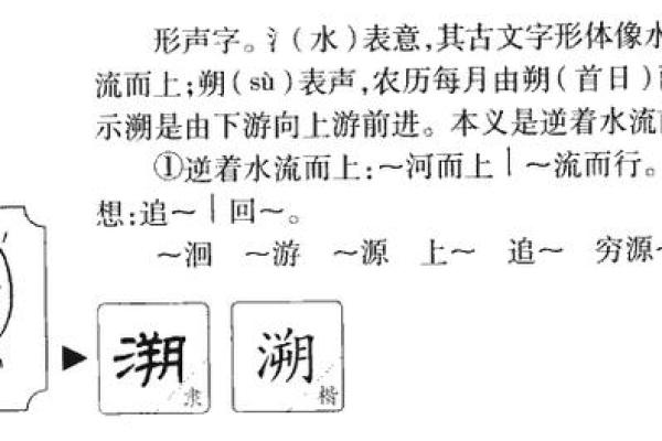 溢字五行属性解析与运用指南