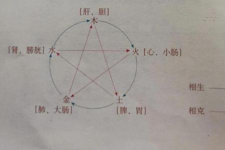 肺属五行中的金吗？揭开中医五行与肺脏的关系