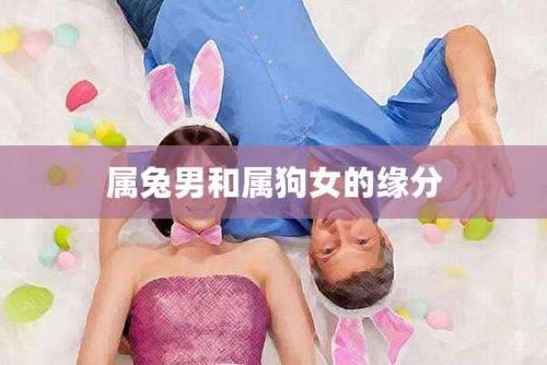 生肖配对：属蛇女与属兔男的缘分如何