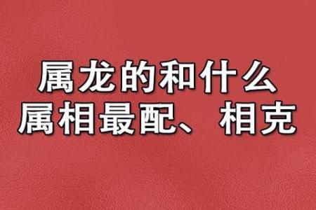 属相相冲的化解步骤与建议