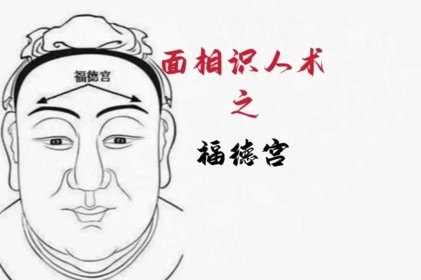 麻衣神相中的痣相解析：揭开命运的神秘面纱