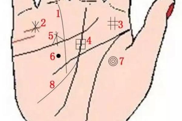 通过理财线看财运：手相中的财富密码