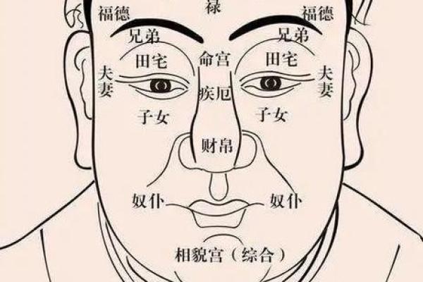 不同年龄段面相变化解析