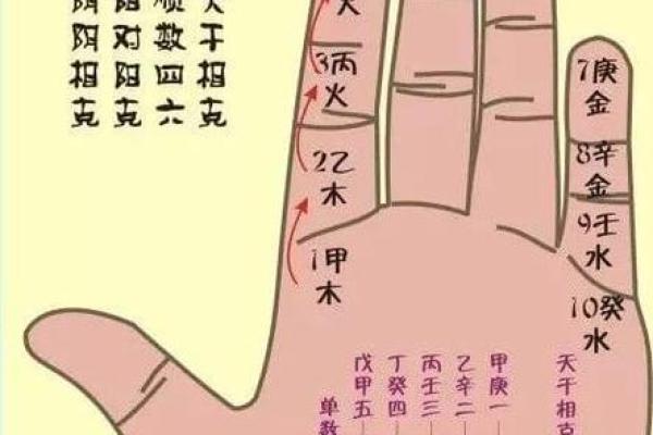 探秘六壬排盘中的天干地支关系