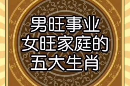 适合冲什么生肖来平衡事业与家庭？