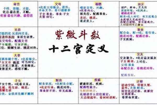 紫微斗数与八字命理的区别