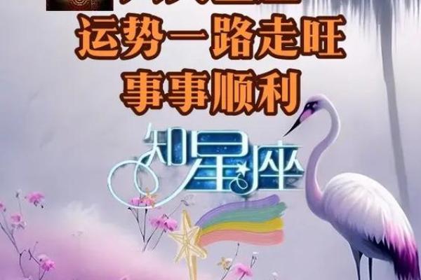 第一星座运势查询：掌握未来一周的星座运势变化