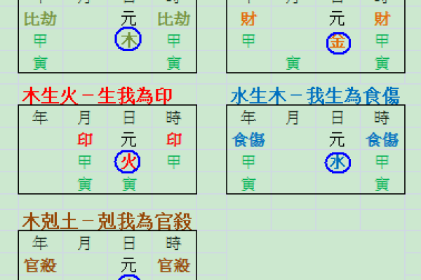 深入解读双甲命的五行关系与影响