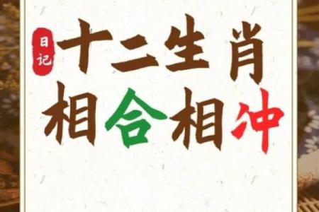 生肖相冲的现实影响及化解技巧