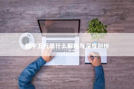 麟字五行属什么解析与深度剖析