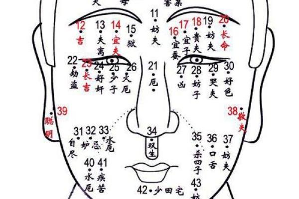 胡子面相分析：每种胡须背后的命运密码