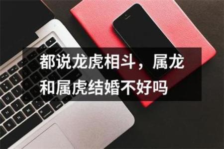 属虎与属龙的相处之道：两种性格碰撞的可能性与挑战