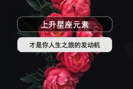 从命理学角度看右命对人生的深远影响