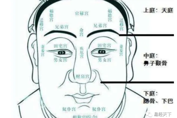 从面相看年龄：哪些面部特征能透露你几岁