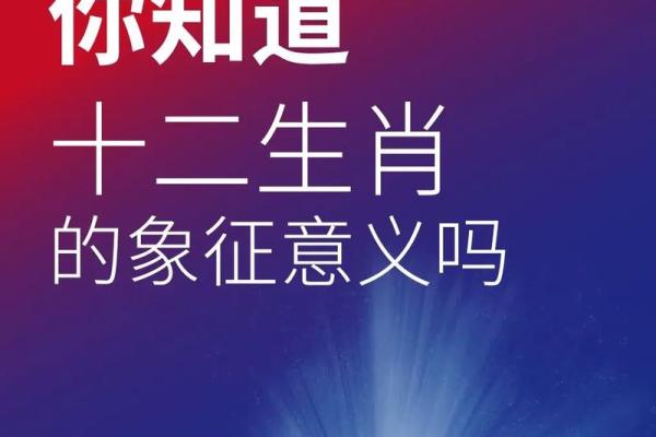 人代表什么生肖？探索与人类性格相关的生肖象征