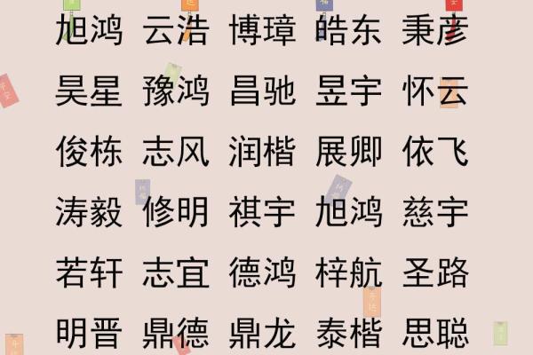 属猪宝宝起名宝典：精选有寓意的猪年名字大全