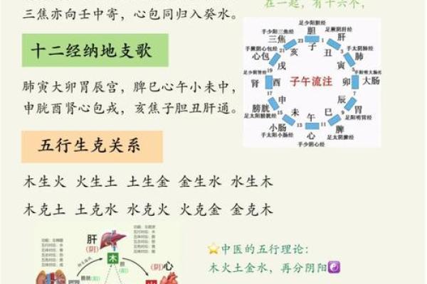 天干与地支的配对规则解析及其在命理中的应用