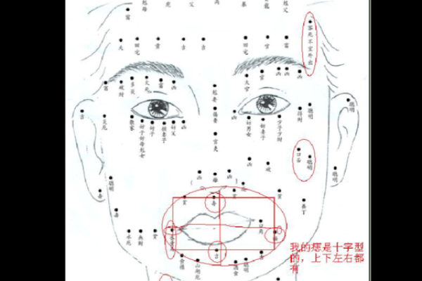 右腿痣相解析：不同位置的痣暗示着什么命运轨迹