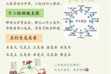 天干与地支的配对规则解析及其在命理中的应用