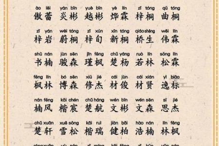 使用免费宝宝起名字软件，确保名字的寓意与音韵完美结合