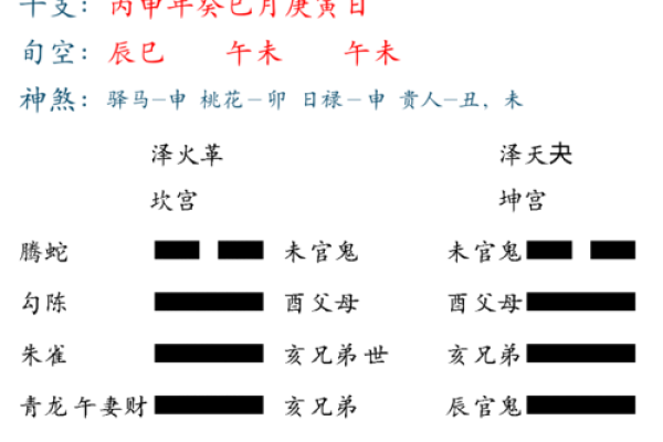 掌握梅易排盘技巧，精准洞察个人命运