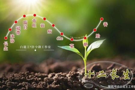 十天干解析：揭示个人命运的关键因素