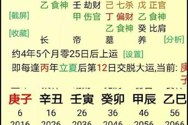 免费八字排盘详解：如何通过八字了解自己的命运走势