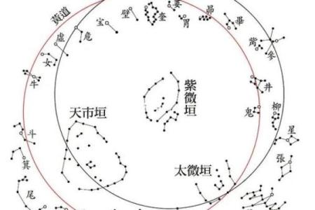 紫微斗数与心理学的结合分析