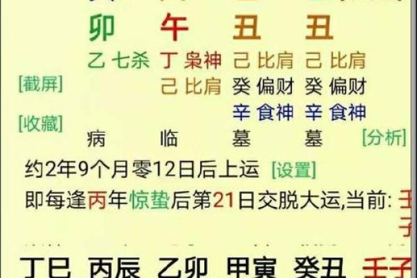 解读八字排盘：如何从命理中找寻人生指引