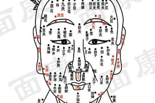 面部痣相图解：从脸部痣相看你的人生轨迹