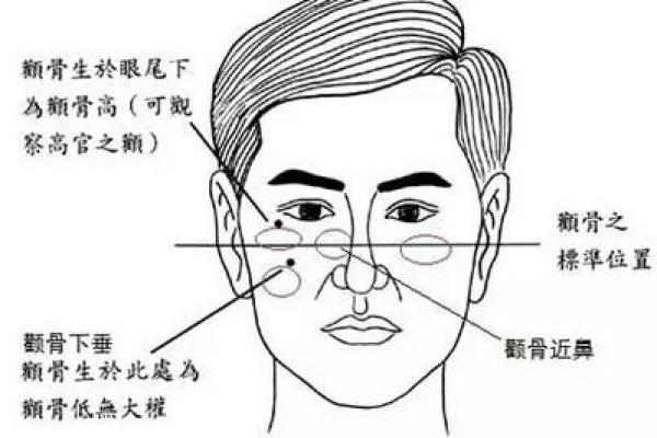 下巴与命运：面相中的关键部位分析