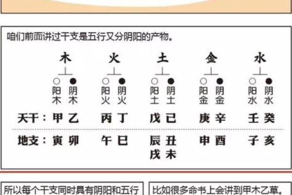 探索天干地支纪历与精准预测的深层联系