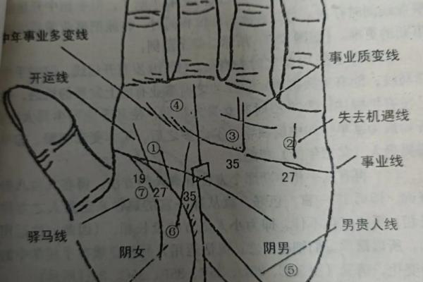 通过手相揭示未来的命运密码