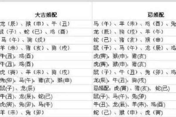 属猴和属马的性格互补性分析