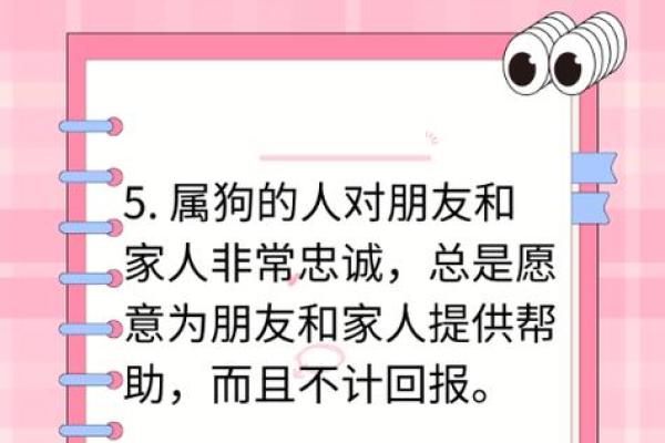 属猪女和属狗男婚姻能否长久？深入分析生肖相配的关键因素