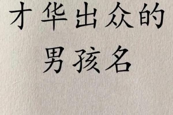 男宝宝名字精选与趋势分析