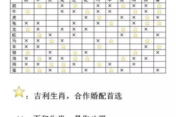 属相冲克的具体影响与破解方法