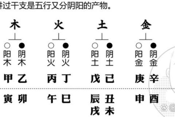 天干配数的奥秘与应用解析