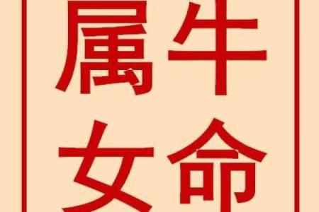 八字金舆：揭示命运中的贵人运