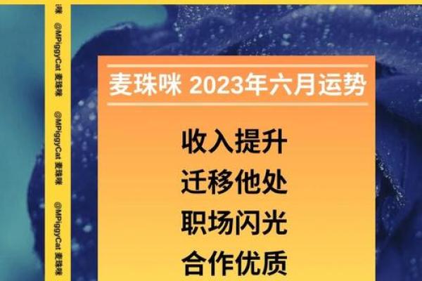 天蝎座女今日运势概览：挑战与机遇并存